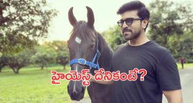 Rakshita Prem: 'సర్కే చునర్' పాట వివాదంపై గట్టి కౌంటర్ ఇచ్చిన దర్శకుడి భార్య రక్షిత..