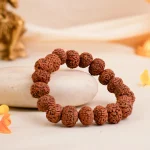 Rudraksha: రుద్రాక్ష ముఖాలను బట్టి శక్తి ఎలా మారుతుందో తెలుసా ?