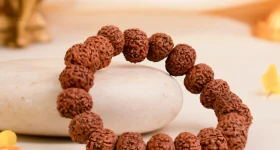 Rudraksha: రుద్రాక్ష ముఖాలను బట్టి శక్తి ఎలా మారుతుందో తెలుసా ?