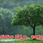 Weather Update: తెలుగు రాష్ట్రాల్లో భారీ వర్షాలు.. ఈ జిల్లాల్లో ఉరుముల వాన, వీళ్లు బయటకు రావొద్దు!