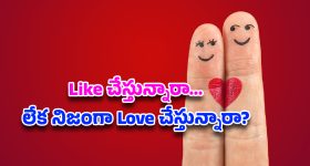 Relationship secrets: ఇష్టం కాదు బాస్… నిజంగా ప్రేమిస్తున్నారా? ఒకసారి చెక్ చేసుకోండి!