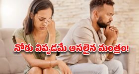 Tollywood Hero:  నెట్టింట టాలీవుడ్ హీరో వైఫ్ గ్లామర్ పిక్స్ .. మళ్ళీ అదే చర్చ?