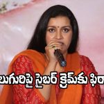 Renu Desai: సైబర్ క్రైమ్‌కు రేణు దేశాయ్ ఫిర్యాదు.. అసలు విషయమిదే!