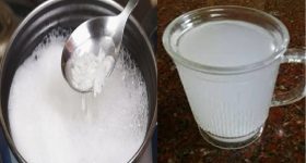 Sour Curd: వేసవిలో పెరుగు త్వరగా పులుస్తుందా? తాజాగా ఉండేందుకు ఇలా చిన్న పని చేయండి చాలు