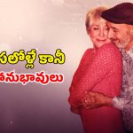 Romantic Comedy OTT : మనవళ్లకు కథలు చెప్పాల్సిన వయసులో ప్రేమ పాఠాలు… డెబ్బై ఏళ్ల వయసులో డ్యాన్స్ స్టెప్పులు