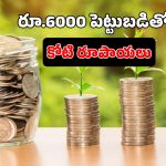 First 1 Crore Corpus:  కేవలం రూ.6000తో రూ.కోటి సంపాదన.. SIP ఇన్వెస్ట్మెంట్ ప్లాన్ ఇలా!