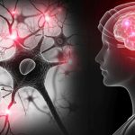 Stress: మెంటల్ వెల్నెస్.. ఒత్తిడి సమయంలో మీ మైండ్‌ను ఎలా రీసెట్ చేయాలి?