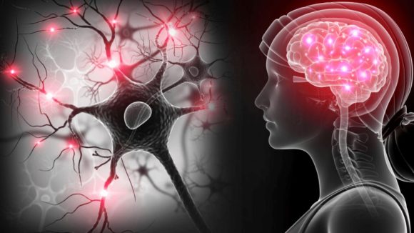 Stress: మెంటల్ వెల్నెస్.. ఒత్తిడి సమయంలో మీ మైండ్‌ను ఎలా రీసెట్ చేయాలి?