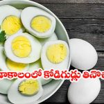 Eggs: ఎండాకాలంలో ఎగ్స్ తింటున్నారా ? ఈ జాగ్రత్తలు తీసుకోకపోతే సమస్యలు తప్పవు