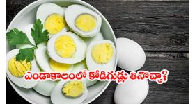 Appalanayudu on Jagan: దయ్యాలు వేదాలు వల్లించినట్లుంది.. జగన్ తీరుపై విరుచుకుపడ్డ విజయనగరం ఎంపీ