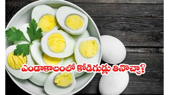 Eggs: ఎండాకాలంలో ఎగ్స్ తింటున్నారా ? ఈ జాగ్రత్తలు తీసుకోకపోతే సమస్యలు తప్పవు
