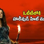 Survival thriller OTT : దీవిలో చిక్కుకునే జంట… భయపెట్టే సర్వైవల్ థ్రిల్లర్