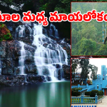 Shillong Tourism: ఈ సమ్మర్‌లో షిల్లాంగ్ వెళ్తున్నారా.. అయితే మీరు చూడాల్సిన 5 అద్భుత ప్రదేశాలు!