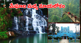Shillong Tourism: ఈ సమ్మర్‌లో షిల్లాంగ్ వెళ్తున్నారా.. అయితే మీరు చూడాల్సిన 5 అద్భుత ప్రదేశాలు!