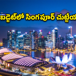 ఇలా చేస్తే.. తక్కువ బడ్జెట్‌లో.. సింపుల్‌గా సింగపూర్ చుట్టేయొచ్చు!
