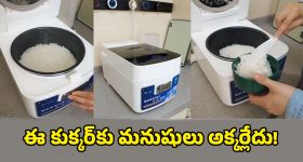Smart Electric Cooker: ఇంటికెళ్లే సరికి వంట రెడీ చేసి పెట్టే ఎలక్ట్రిక్ కుక్కర్.. మొబైల్‌తో ఆపరేట్ చేస్తే చాలు!
