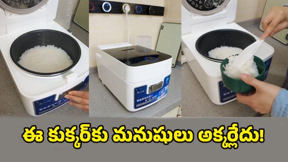 Smart Electric Cooker: ఇంటికెళ్లే సరికి వంట రెడీ చేసి పెట్టే ఎలక్ట్రిక్ కుక్కర్.. మొబైల్‌తో ఆపరేట్ చేస్తే చాలు!