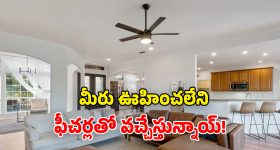 Vijay Rashmika: రష్మిక గురించి విజయ్ దేవరకొండ ఫస్ట్ టైమ్ పెట్టిన ట్వీట్ ఇదే.. అప్పుడే చెప్పేశాడు..
