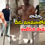 Snake Bite: నువ్వు తోపు బాస్..! కాటేసిన పాముతో హాస్పిటల్‌కి..
