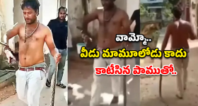 Snake Bite: నువ్వు తోపు బాస్..! కాటేసిన పాముతో హాస్పిటల్‌కి..