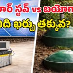 Solar Energy System: సోలార్‌తో ఇండక్షన్ స్టవ్ నడపాలంటే ఎంత ఖర్చవుతుంది? కరెంట్ బిల్లు తగ్గుతుందా?