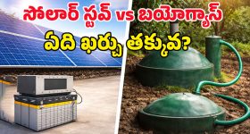 Solar Energy System: సోలార్‌తో ఇండక్షన్ స్టవ్ నడపాలంటే ఎంత ఖర్చవుతుంది? కరెంట్ బిల్లు తగ్గుతుందా?
