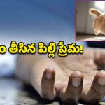 Student Suicide: మీర్‌పేట్‌లో విషాదం.. పిల్లి మరణం తట్టుకోలేక విద్యార్థిని సూసైడ్‌