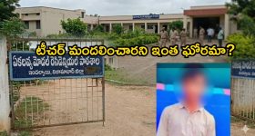 Vijay Rashmika: తెలుగు వారికి కొత్త కోడలు వచ్చింది ఆశీర్వదించండి: విజయ్ దేవరకొండ