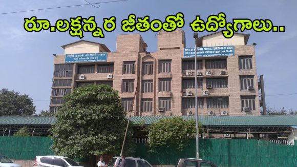 DSSSB Jobs 2026: సబార్డినేట్ సర్వీసెస్‌లో ఉద్యోగాలు, మంచివేతనం, క్వాలిఫికేషన్ ఇదే