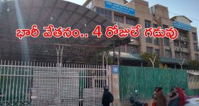 Subordinate Services: సబార్డినేట్ సర్వీసెస్‌లో 911 ఉద్యోగాలు.. ఈ జాబ్ వస్తే బంగారు భవిష్యత్తు, క్వాలిఫికేషన్ ఇదే..