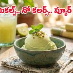 Sugarcane Juice Ice Cream: చెరుకురసంతో ఐస్‌క్రీమ్.. ఈ సమ్మర్‌లో ఇలా చేసుకుని తింటే ఆ టేస్టే వేరబ్బా!