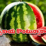 పుచ్చకాయ కొంటున్నారా? ఈ ‘సీక్రెట్’ తెలియకపోతే మీ డబ్బులు గోవిందే!