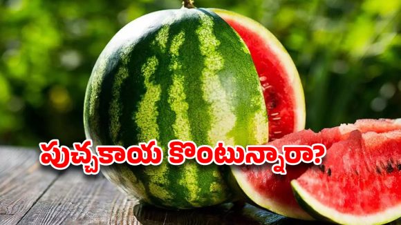 పుచ్చకాయ కొంటున్నారా? ఈ ‘సీక్రెట్’ తెలియకపోతే మీ డబ్బులు గోవిందే!