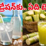 Summer Tips: కొబ్బరి నీళ్ల ఖరీదు ఎక్కువని.. చెరకు రసం తాగుతున్నారా? ఇది తెలుసుకోండి!