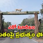 Telangana Forests development: కవ్వాల్, అమ్రాబాద్‌ టైగర్ రిజర్వ్‌లకు మహర్దశ.. అటవీ పునరుద్ధరణే లక్ష్యంగా సర్కార్ అడుగులు