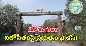 Telangana Forests development: కవ్వాల్, అమ్రాబాద్‌ టైగర్ రిజర్వ్‌లకు మహర్దశ.. అటవీ పునరుద్ధరణే లక్ష్యంగా సర్కార్ అడుగులు