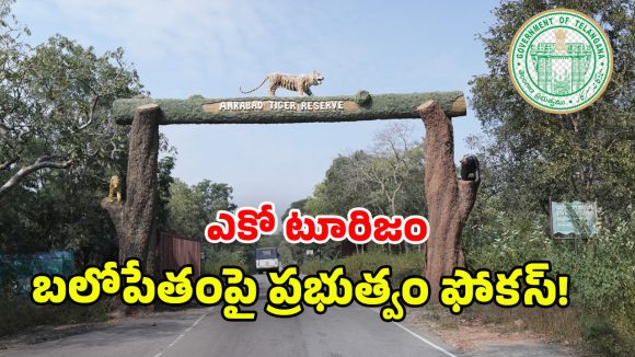 Telangana Forests development: కవ్వాల్, అమ్రాబాద్‌ టైగర్ రిజర్వ్‌లకు మహర్దశ.. అటవీ పునరుద్ధరణే లక్ష్యంగా సర్కార్ అడుగులు