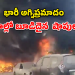 Tirupati Fire: తిరుపతి ఆటోనగర్‌లో భారీ అగ్ని ప్రమాదం.. క్షణాల్లో బూడిదైన షాపులు!