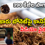Tobacco Seized: 390 కిలోల పొగాకు.. కారు ఆపమంటే కానిస్టేబుల్‌ను బోనెట్‌పై ఈడ్చుకెళ్లాడు..కట్ చేస్తే!