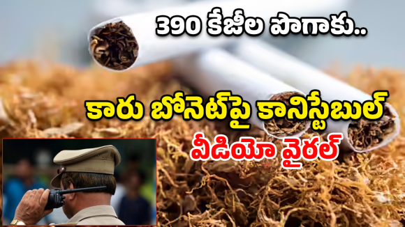 Tobacco Seized: 390 కిలోల పొగాకు.. కారు ఆపమంటే కానిస్టేబుల్‌ను బోనెట్‌పై ఈడ్చుకెళ్లాడు..కట్ చేస్తే!