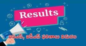 UPSC CIVILS Results: సివిల్స్ ఫలితాలు వచ్చేశాయ్.. దేశంలో ఫస్ట్ ర్యాంక్ ఎవరికంటే..?