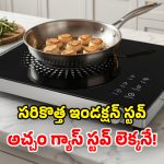 Induction Stove: క్రేజీ ఇండక్షన్ స్టవ్.. నచ్చిన ఆహారాన్ని.. ఏ గిన్నె పెట్టైనా వండేయచ్చు!
