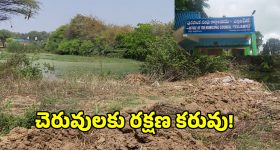 Water Pollution: బంధం కుంట చెరువులో డేంజర్ బెల్స్..  ఇరిగేషన్, మున్సిపల్ శాఖపై స్థానికులు ఆగ్రహం