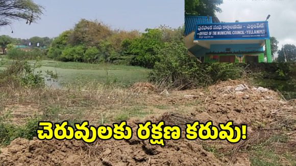 Water Pollution: బంధం కుంట చెరువులో డేంజర్ బెల్స్..  ఇరిగేషన్, మున్సిపల్ శాఖపై స్థానికులు ఆగ్రహం