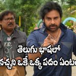 Ustaad Bhagat Singh Trailer: ఆ వార్నింగ్ విలన్‌కా? వైసీపీకా?.. ‘ఉస్తాద్ భగత్ సింగ్’ ట్రైలర్ రివ్యూ