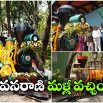 Van Rani Toy Train: టూరిస్టులకు గుడ్ న్యూస్, ఐదేళ్ల తర్వాత వనరాణి మళ్లీ ప్రారంభం!