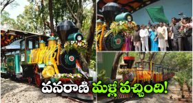 Van Rani Toy Train: టూరిస్టులకు గుడ్ న్యూస్, ఐదేళ్ల తర్వాత వనరాణి మళ్లీ ప్రారంభం!