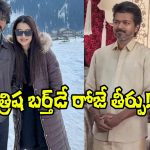 Vijay: పాపం విజయ్, త్రిష.. పోలింగ్ తేదీ, కౌంటింగ్ తేదీలతో కూడా ట్రోలింగ్!