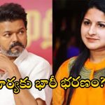 Vijay Sangeeth Divorce: విజయ్ సంగీత విడాకులు.. భారీగా భరణం ఆఫర్ చేసిన హీరో!