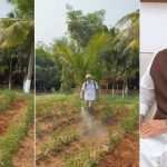 Vijayasai Reddy: విజయసాయి‌రెడ్డి 2.0 యాక్టివేట్.. చెట్లకు ఓకే.. ఫ్యాన్ పార్టీకి స్ప్రే ఎప్పుడు?
